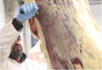 side of meat being cut