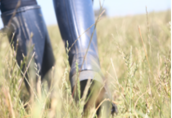 rubber booted legs walking through a field